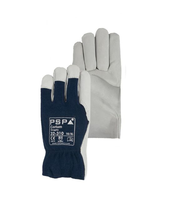 Afbeeldingen van PSP HS Tropic Economy 32-310 mt 7